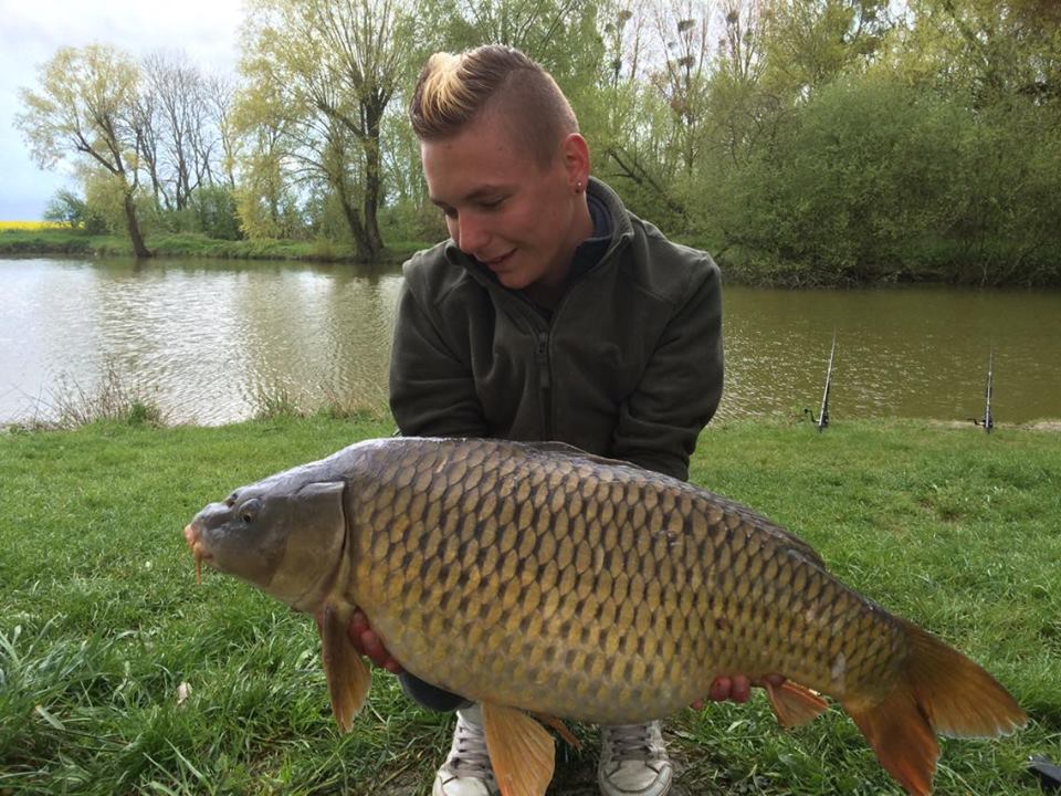 Carpe commune 10kg500