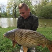 Carpe commune 10kg500