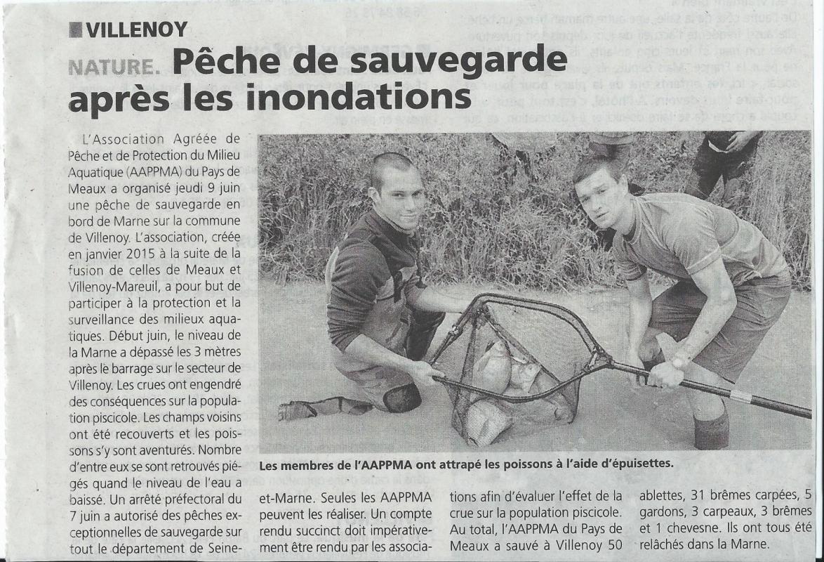 Article la marne peche sauvegarde