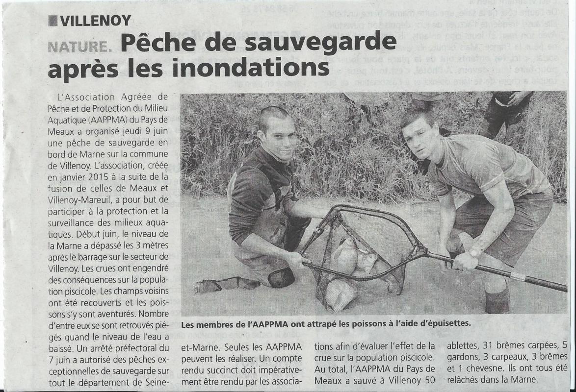 Article la marne peche sauvegarde