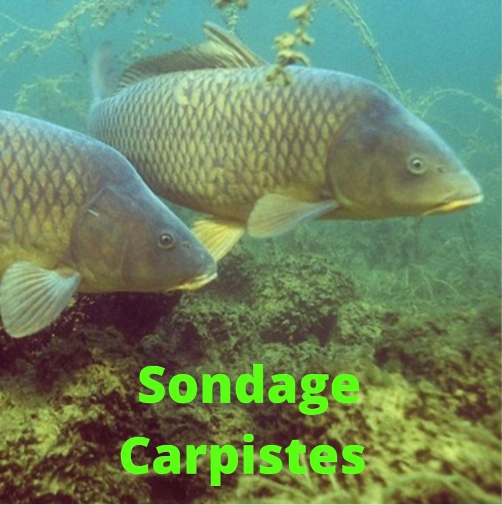 Screenshot 20220107 172403 canva