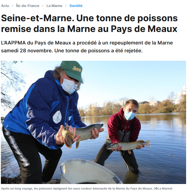 Seine et marne une tonne de poissons remise dans la marne au pays de meaux