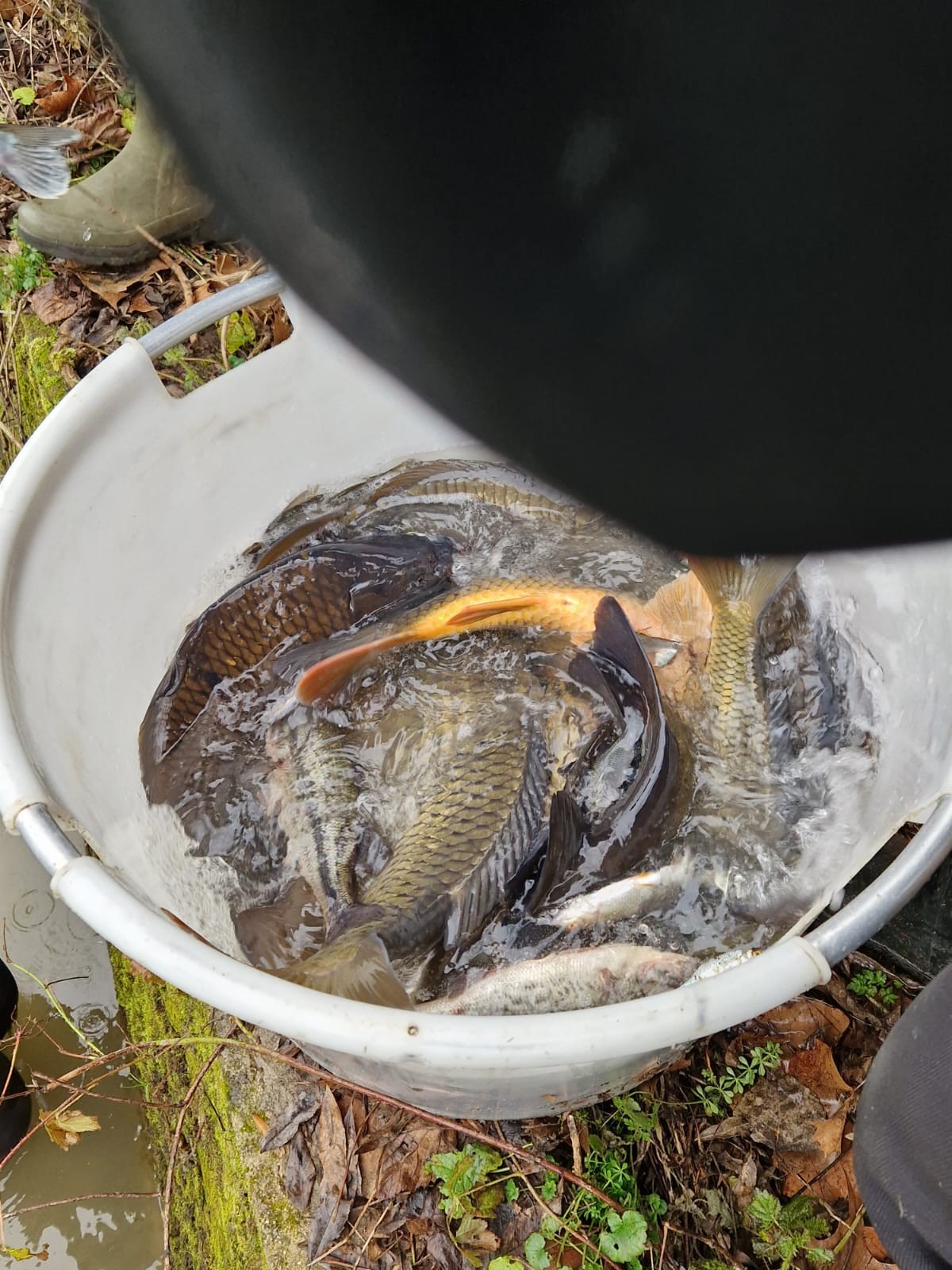 Img 20230204 wa0155